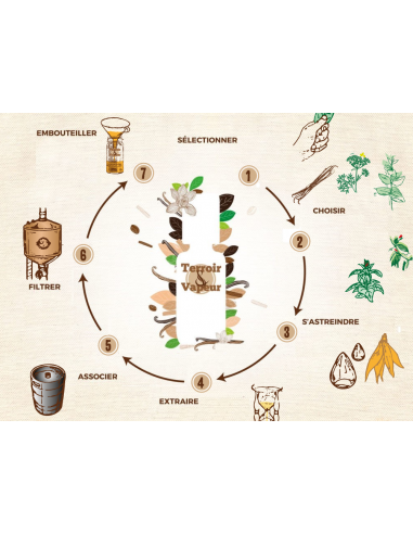 E-liquide 10ml tabac le basque tevap