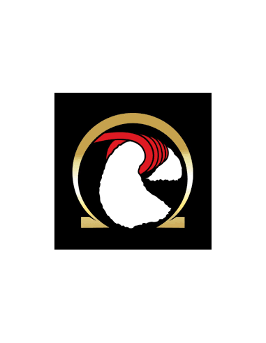 coton bacon prime wick n  vape