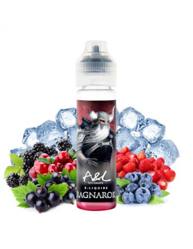 E-liquide 50ml RAGNAROK arome et liquide