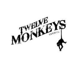 twelve  monkeys